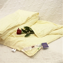 Одеяло Элит, 200*220, зимнее (2 кг)